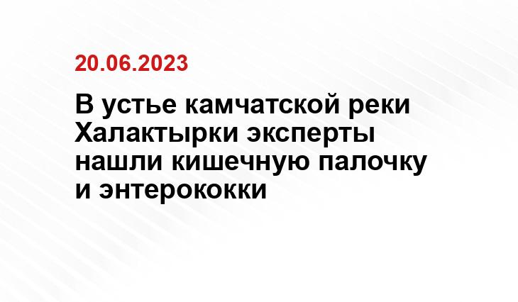 В устье камчатской реки Халактырки эксперты нашли кишечную палочку и энтерококки