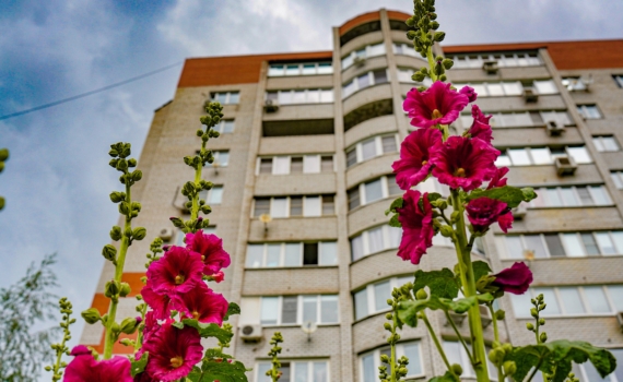 Плесень, запахи, царапины — от холодильника до ванной: способы применения активированного угля