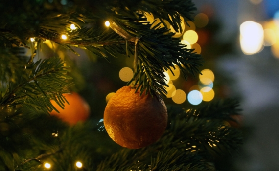 Новогоднее настроение в кожуре: три шага к выбору самых сладких мандаринов