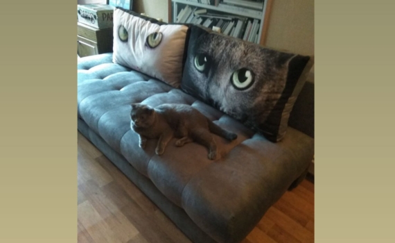 Прямой диван для гостиной: ключевые критерии и тренды 2026 года — уют и комфорт