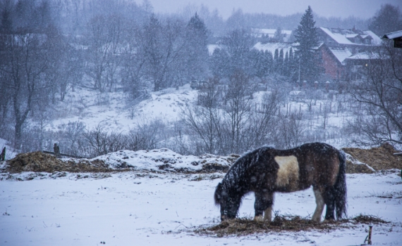 Миляев: Тульский АПК вышел на качественно новый уровень работы Миляев: Тульский АПК вышел на качественно новый уровень работы